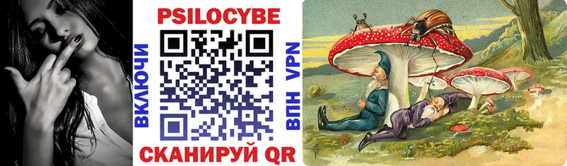 Псилоцибиновые грибы прущие грибы  Купить закладки  Тавда 